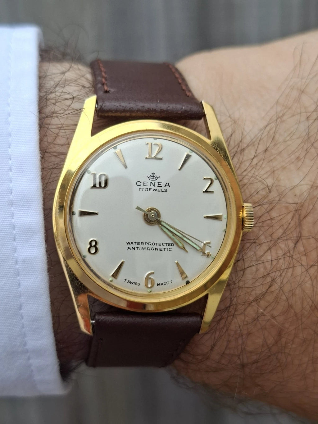 Vintage Cenea 17 Jewels Swiss Mechanical Watch – EB 8800 – 32mm - 1960's