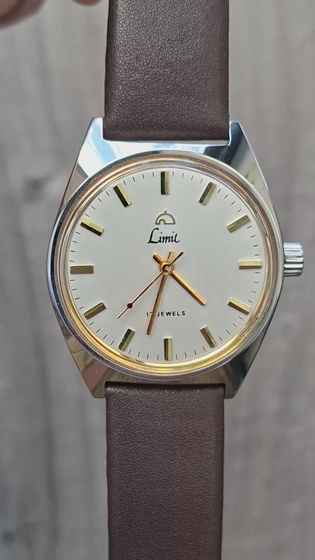 Vintage 1970s Limit 17 Jewel Mechanical Hand Wind Men's Watch 35mm Stainless Steel